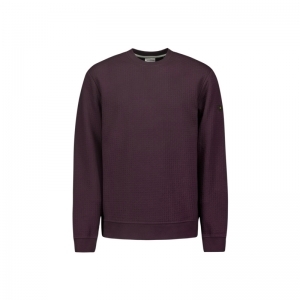  AUBERGINE
